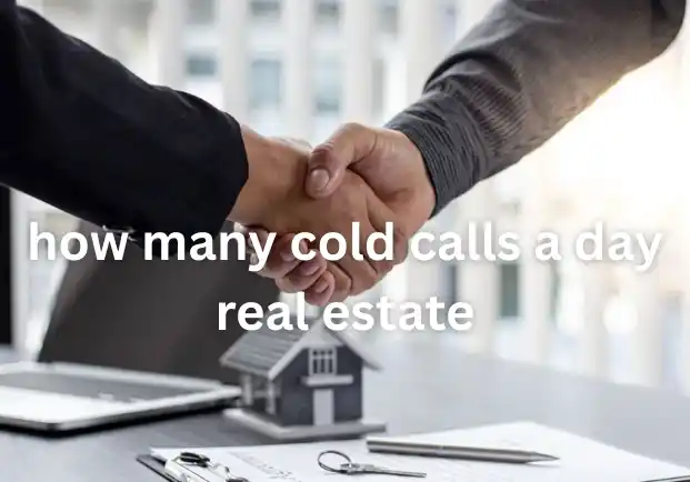 how many cold calls a day real estate