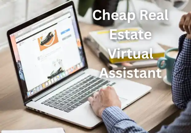 Cheap Real Estate Virtual Assistant