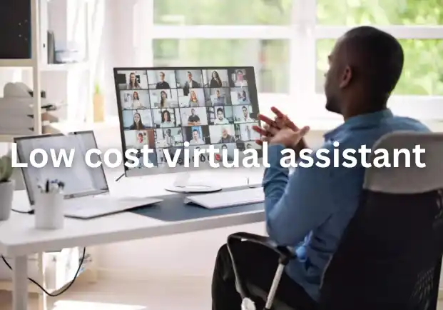 Low Cost Virtual Assistant